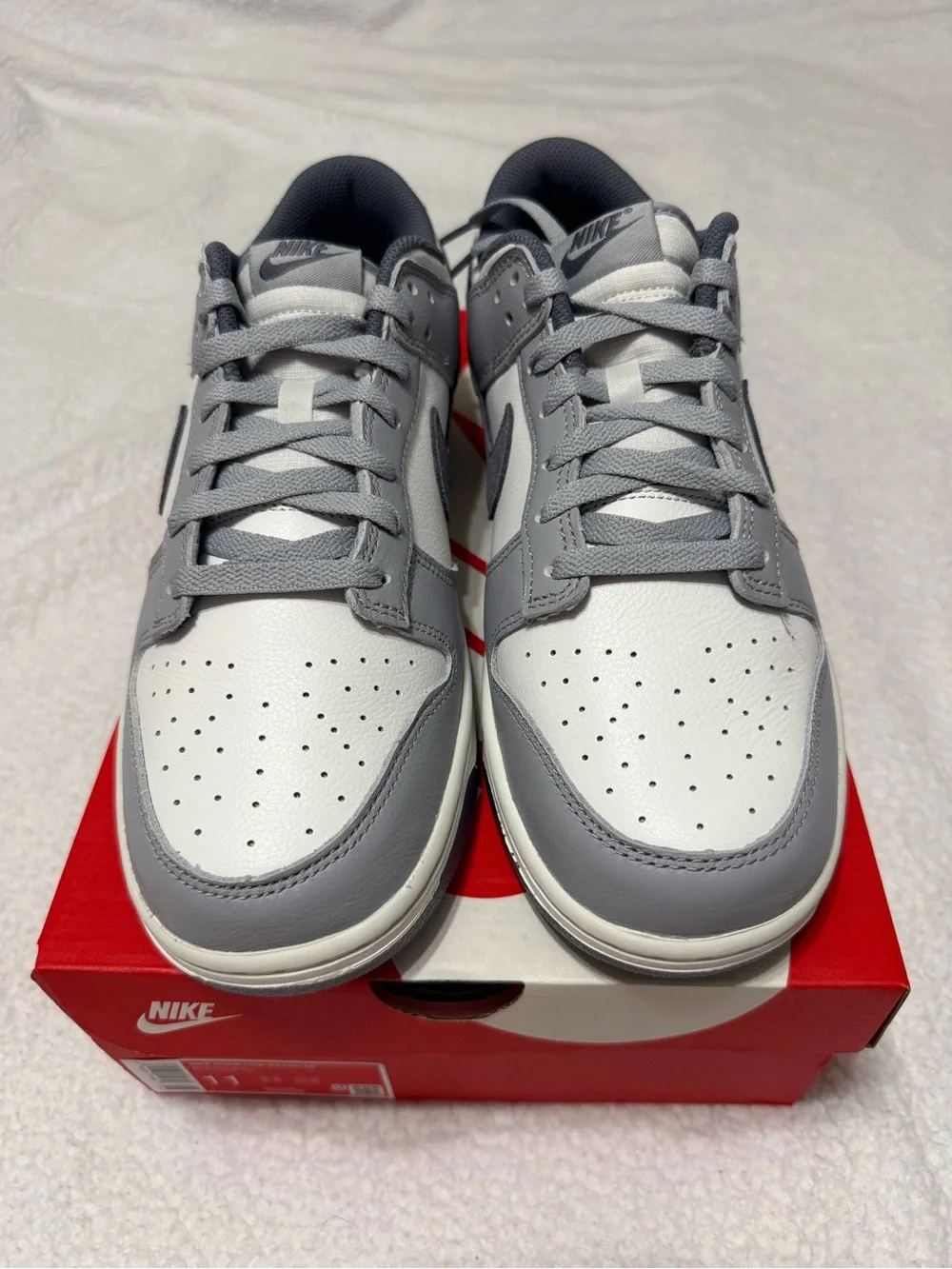 New Men’s Size 11 Nike Dunk Low SE Light Carbon / White